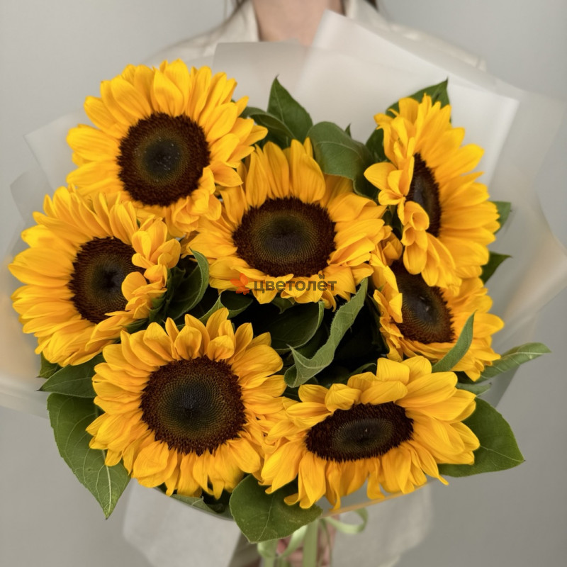 Знания в цветах