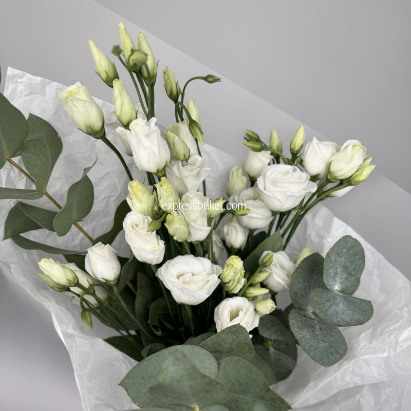 Искренний сюрприз 