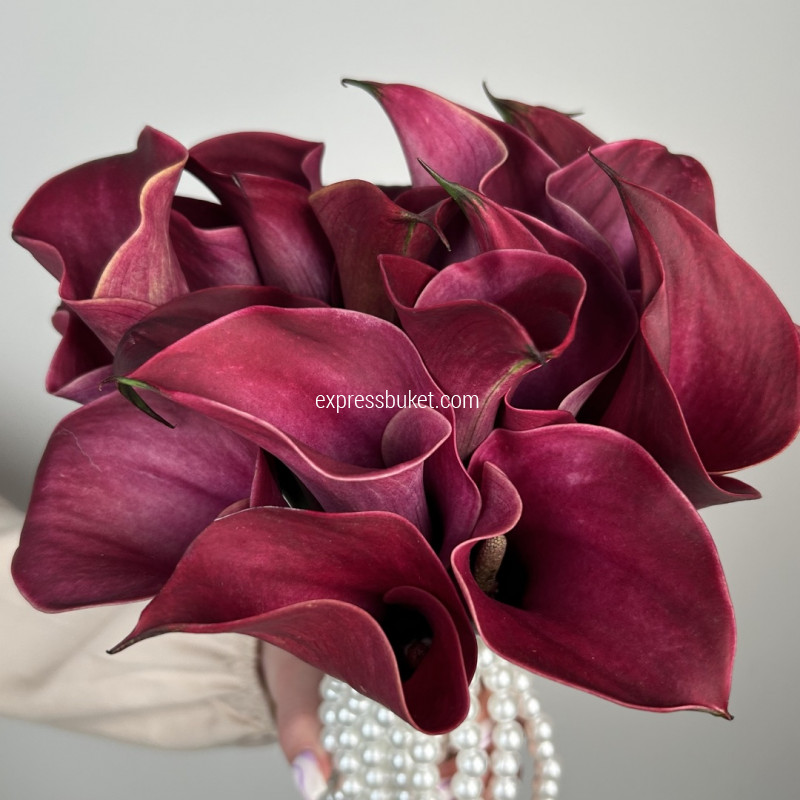 Красный жемчуг