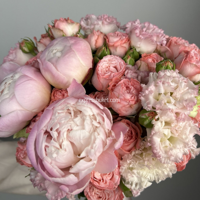 Нежные поцелуи 