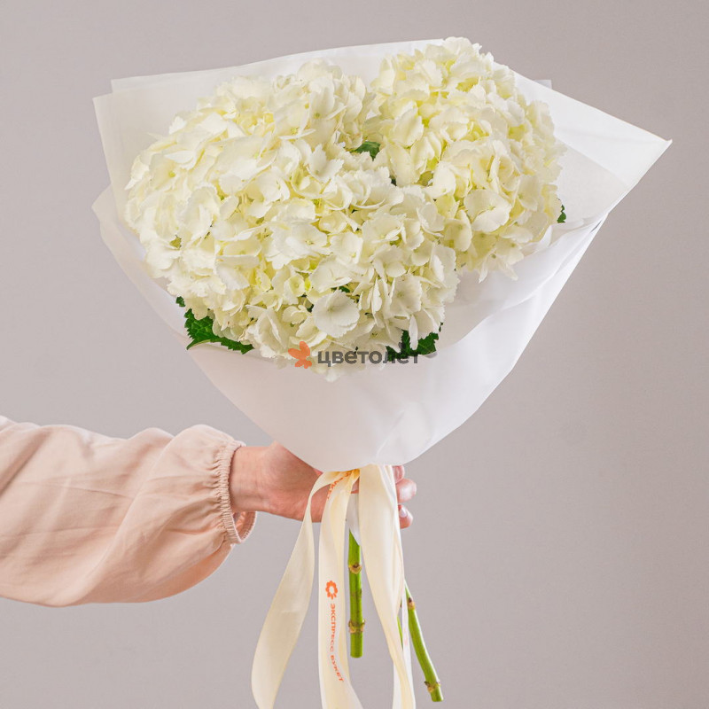 Букет из 5 белых гортензий