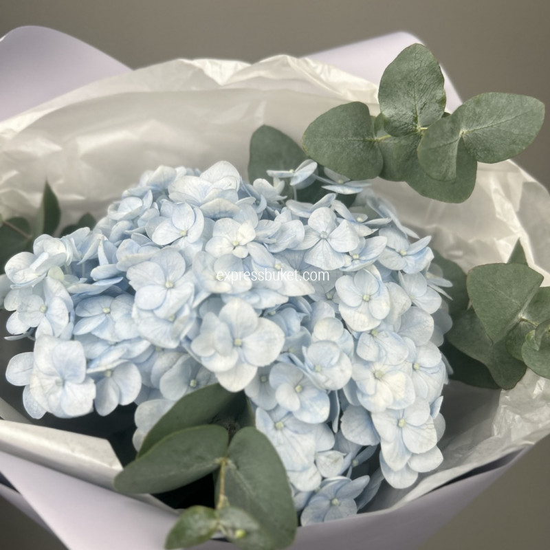 Чудный подарок