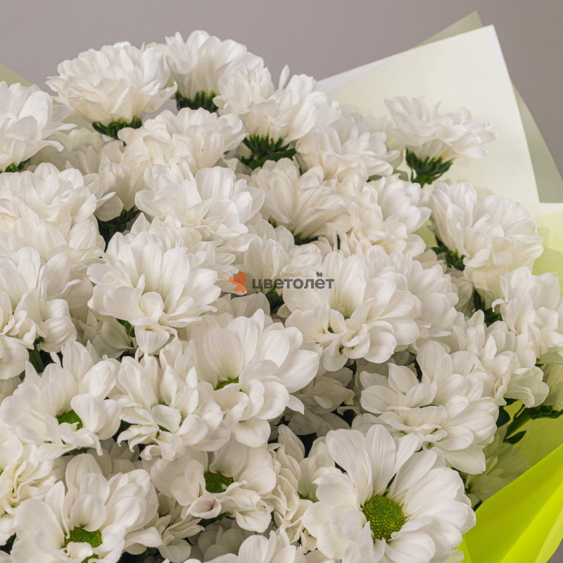 Букет из 11 белых кустовых хризантем
